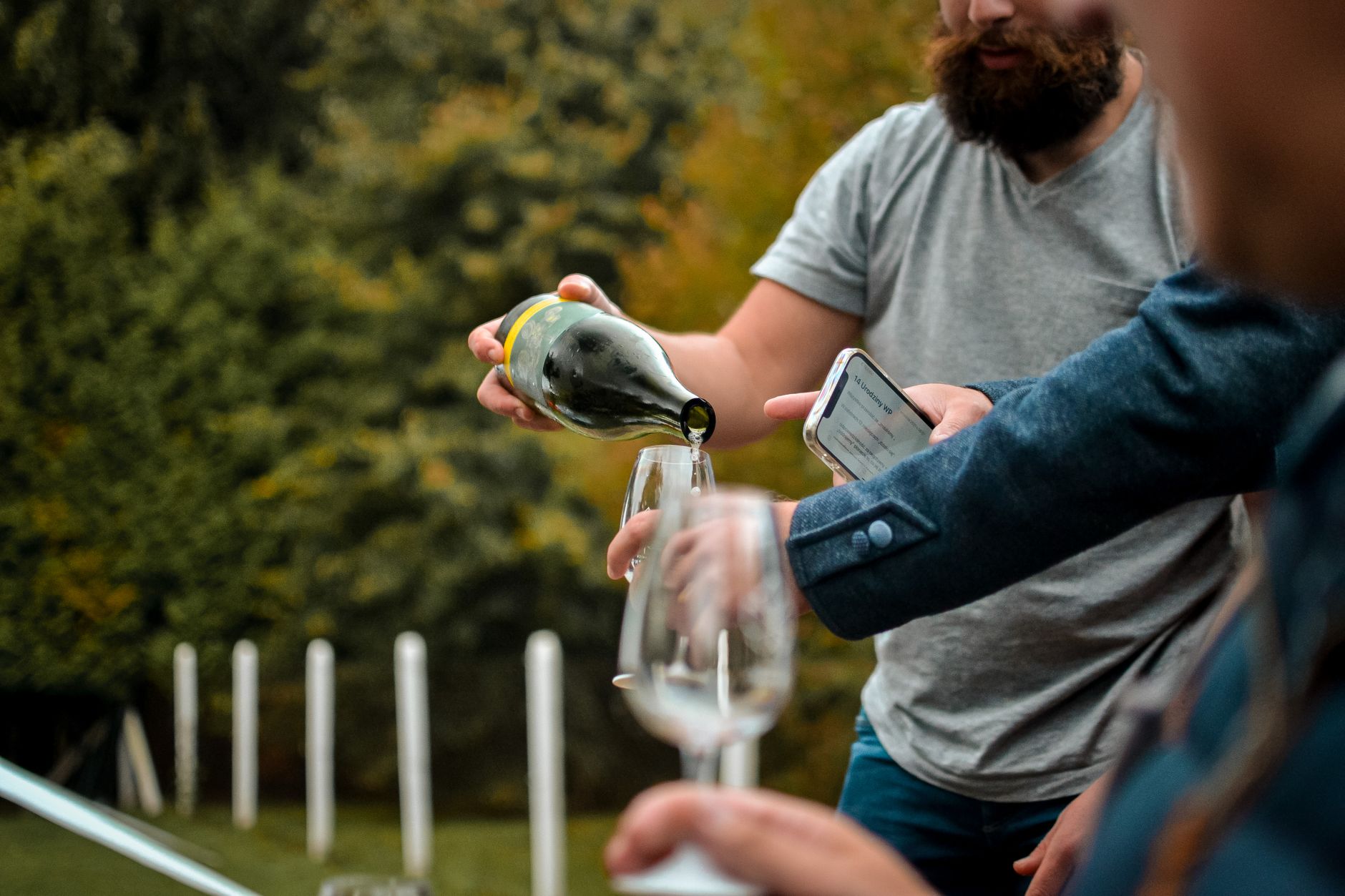 How Wine Scanning Apps Are Changing the Way We Choose a Bottle